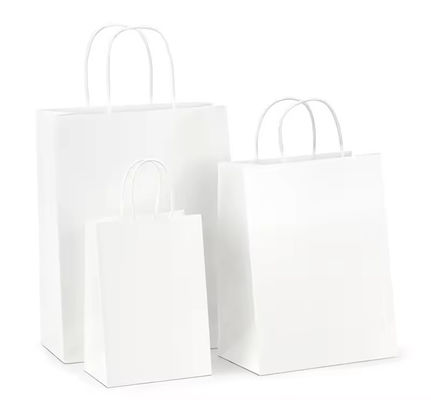 Sacs cadeaux en papier à poignée tordue avec logo imprimé et accepté OEM/ODM