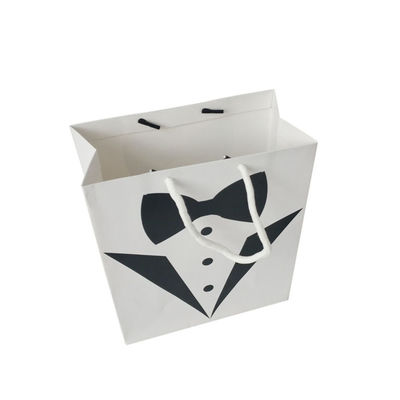 Petite entreprise Logo personnalisé Accepté Sac en papier biodégradable recyclable Emballage cadeau