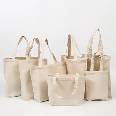 Moins de MOQ Sac à main écologique Sac à main blanc Plain Canvas Sac à main en coton avec logo personnalisé