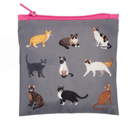 Mode à main REPT Tissu en polyester en laine pour chien Sacs de plage pour animaux Sac de magasinage pliable