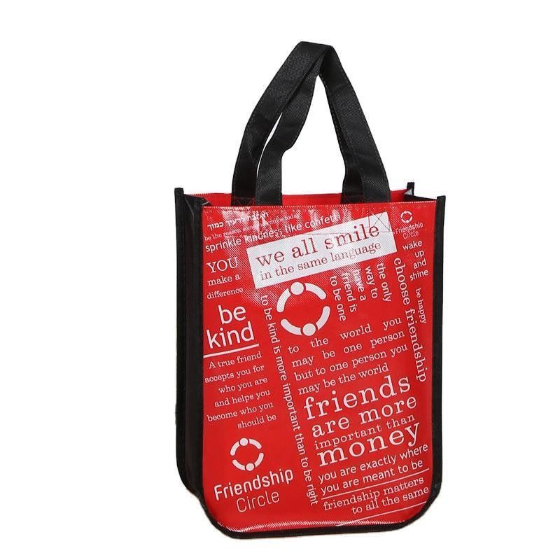 Sac de magasinage non tissé réutilisable avec couleur personnalisée et style manipulé